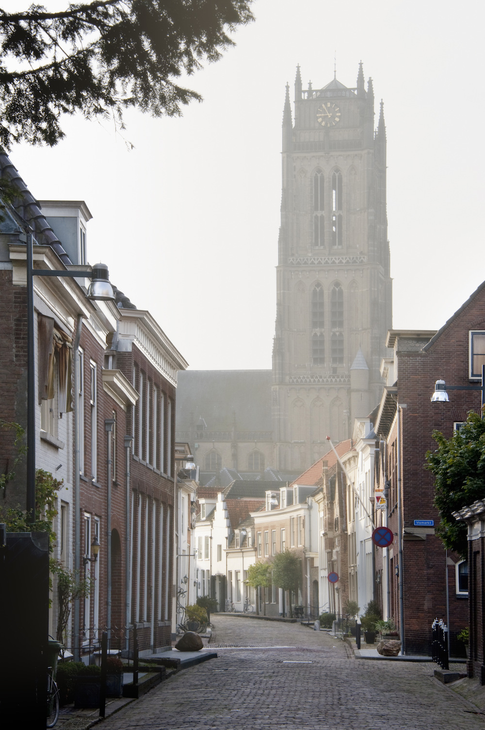 Uitzicht op de Sint Maartenskerk in Zaltbommel