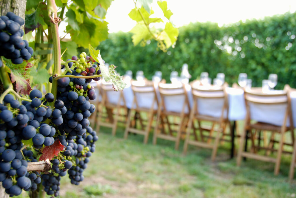 Lange tafels bij het Betuws Wijndomein