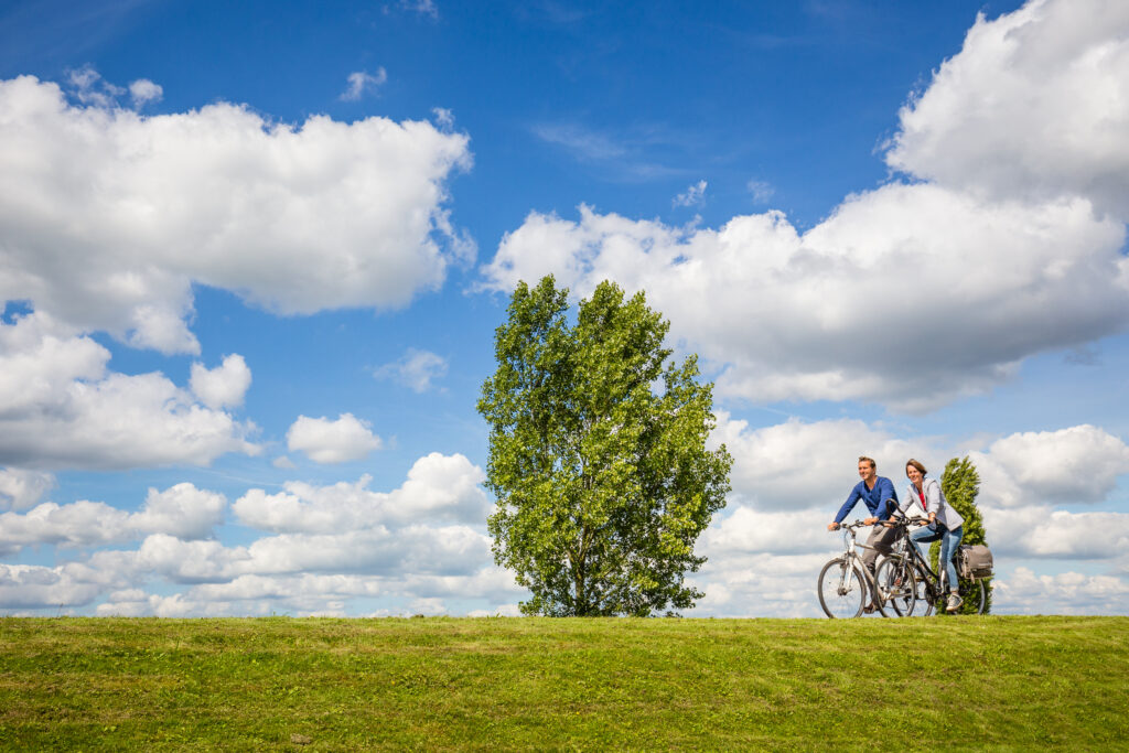 Fietsende mensen langs een boom op de dijk