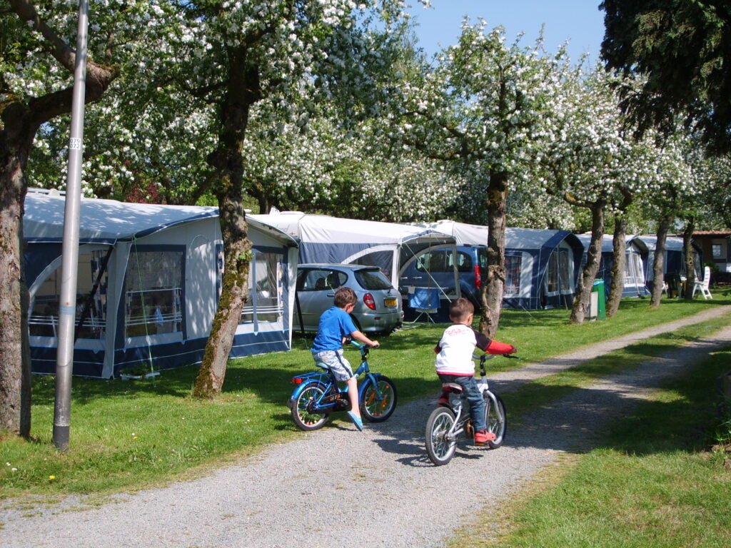 Camping de Linie in Neder-Betuwe
