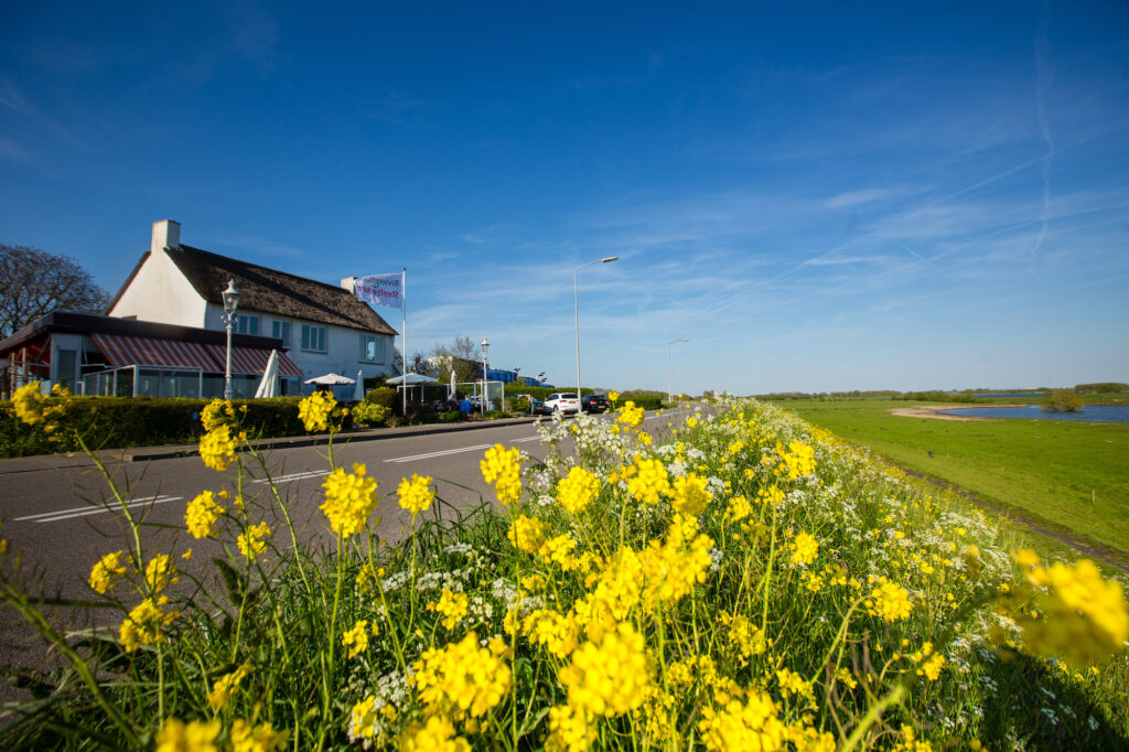 dijk in gemeente neder-betuwe